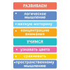 Пирамидка деревянная 9 деталей Томик