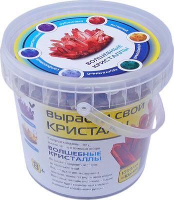 Вырасти ЯНТАРНЫЙ КРИСТАЛЛ (большой) Инновации для детей