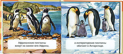 Удивительные птицы + книга с картинками Елена